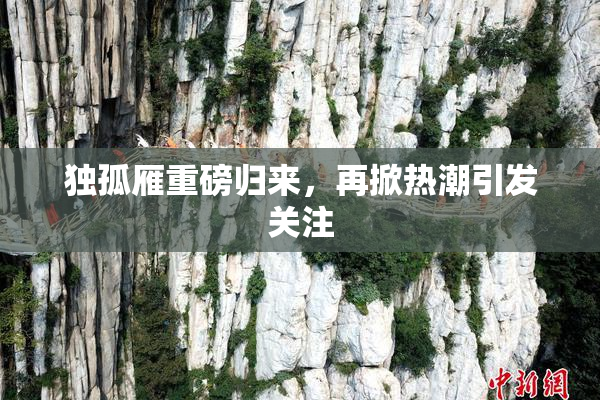 独孤雁重磅归来，再掀热潮引发关注