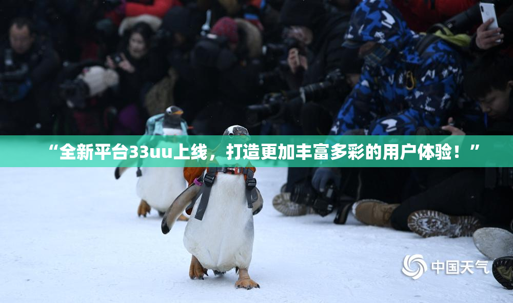 “全新平台33uu上线，打造更加丰富多彩的用户体验！”
