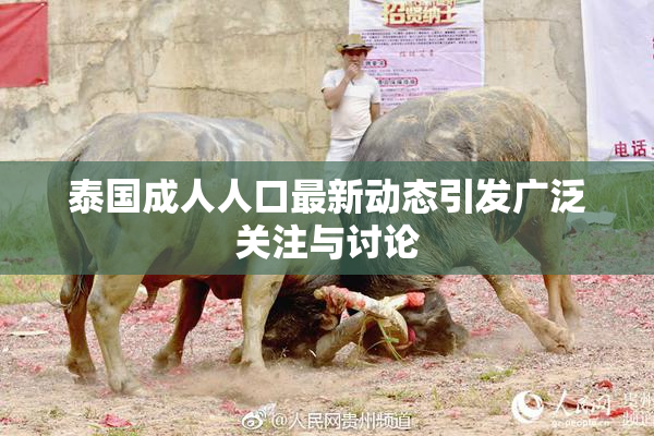 泰国成人人口最新动态引发广泛关注与讨论