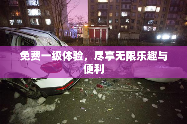 免费一级体验，尽享无限乐趣与便利
