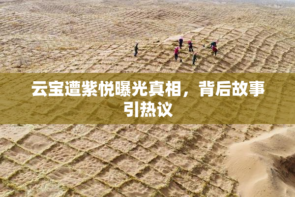 云宝遭紫悦曝光真相，背后故事引热议