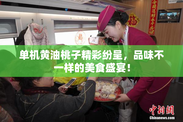 单机黄油桃子精彩纷呈，品味不一样的美食盛宴！