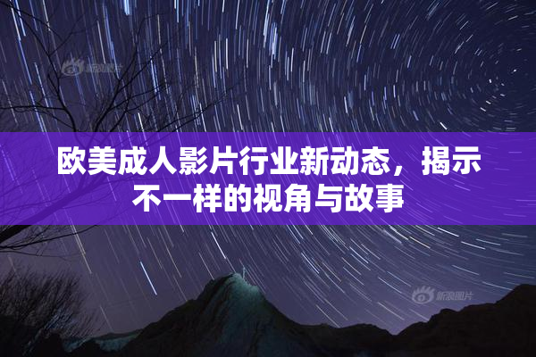 欧美成人影片行业新动态，揭示不一样的视角与故事