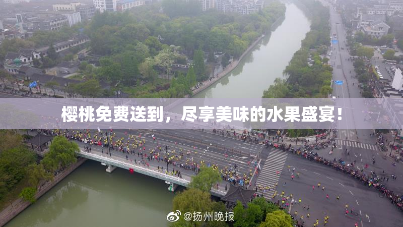 樱桃免费送到，尽享美味的水果盛宴！