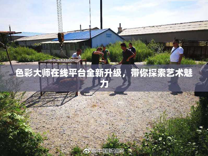 色彩大师在线平台全新升级，带你探索艺术魅力