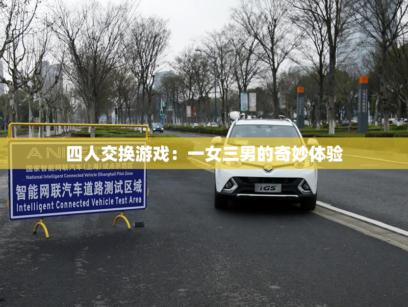 四人交换游戏：一女三男的奇妙体验