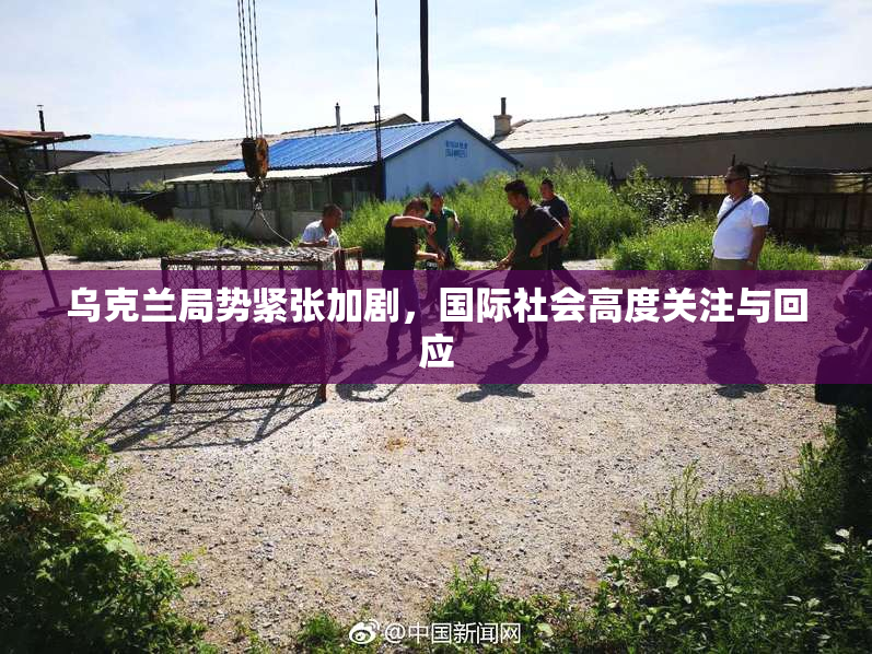 乌克兰局势紧张加剧，国际社会高度关注与回应
