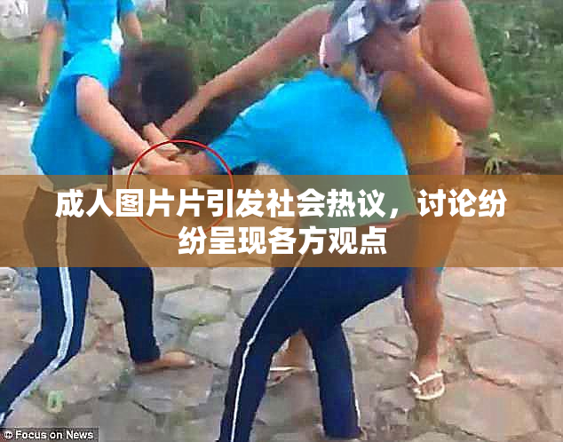 成人图片片引发社会热议，讨论纷纷呈现各方观点