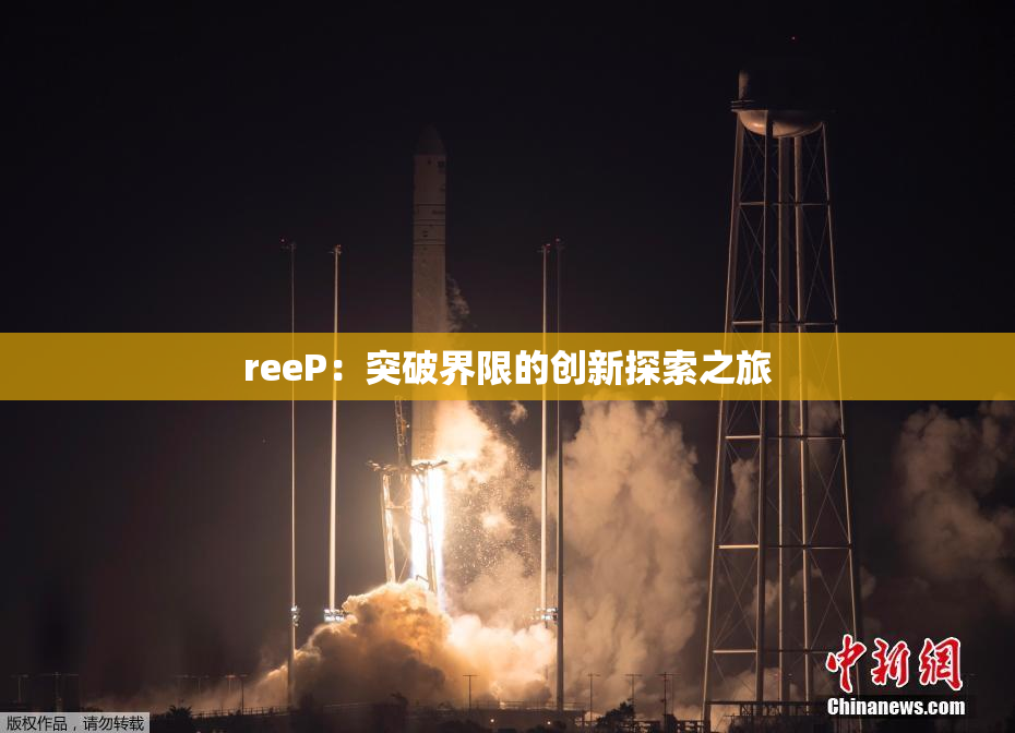reeP：突破界限的创新探索之旅