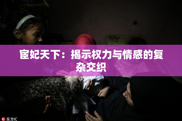 宦妃天下：揭示权力与情感的复杂交织