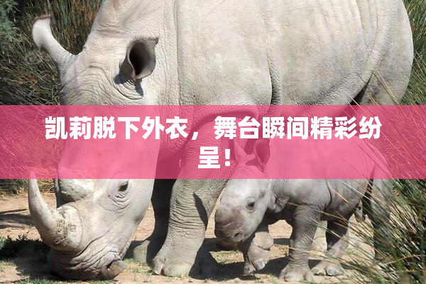 凯莉脱下外衣，舞台瞬间精彩纷呈！