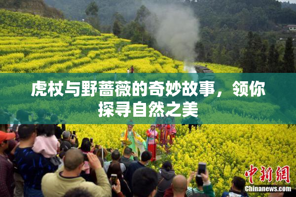 虎杖与野蔷薇的奇妙故事，领你探寻自然之美