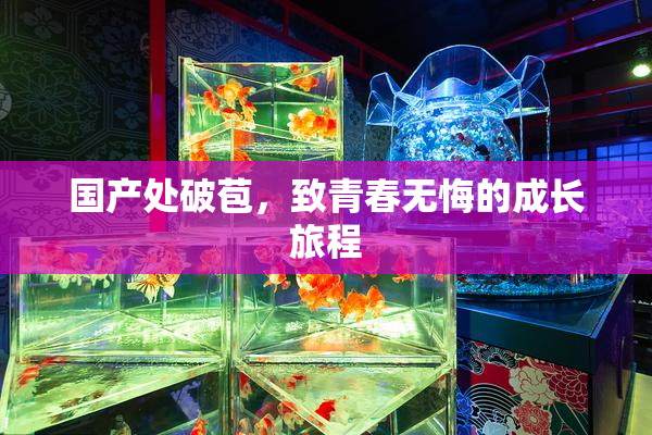 国产处破苞，致青春无悔的成长旅程