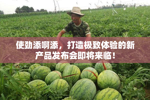 使劲添啊添，打造极致体验的新产品发布会即将来临！