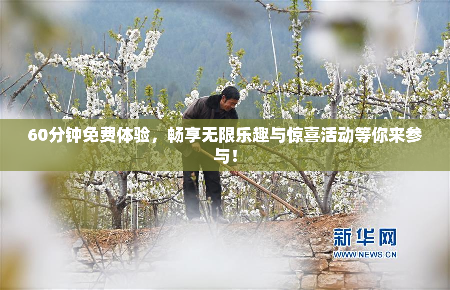 60分钟免费体验，畅享无限乐趣与惊喜活动等你来参与！