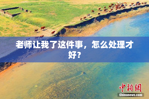老师让我了这件事，怎么处理才好？