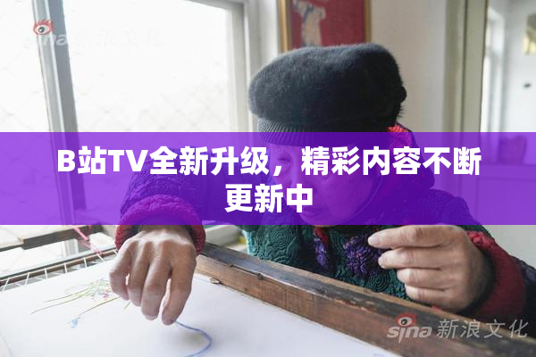 B站TV全新升级，精彩内容不断更新中