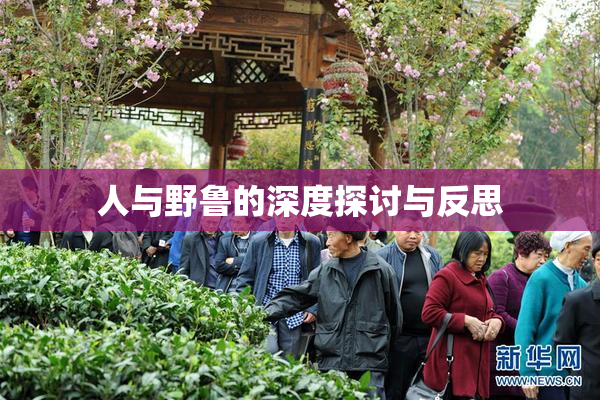 人与野鲁的深度探讨与反思