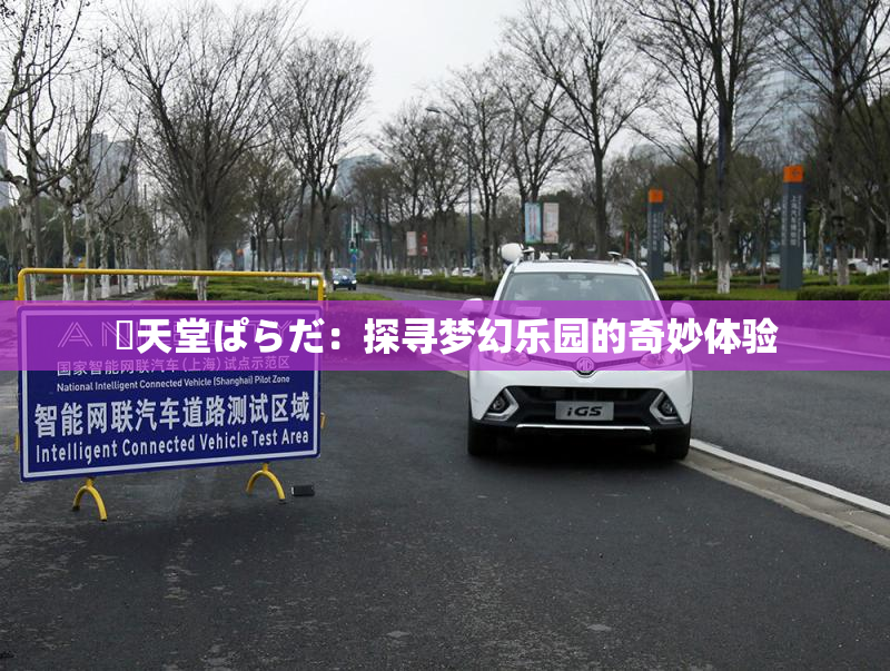 妺天堂ぱらだ：探寻梦幻乐园的奇妙体验