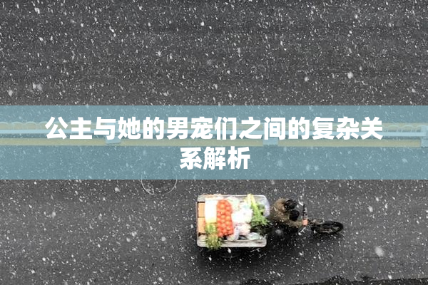 公主与她的男宠们之间的复杂关系解析