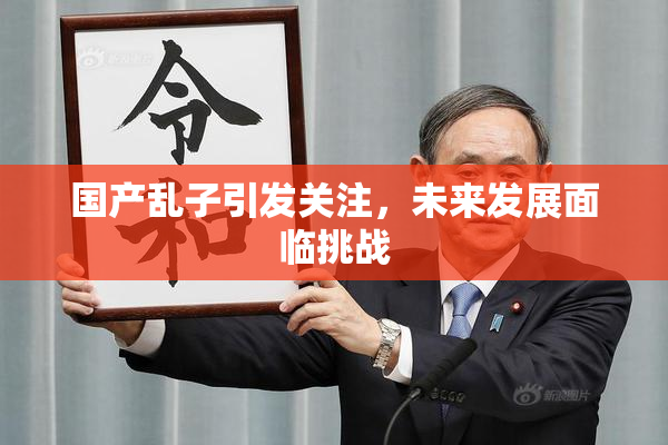 国产乱子引发关注，未来发展面临挑战