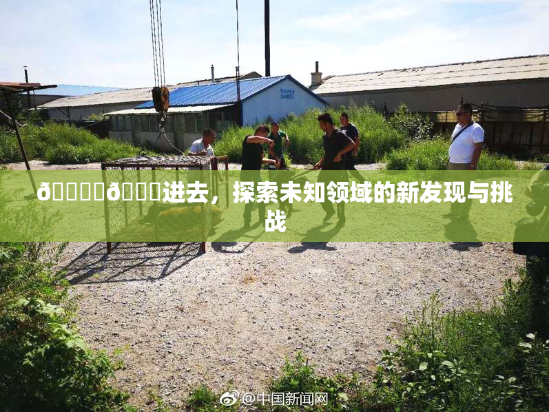 🔞‌🍌进去，探索未知领域的新发现与挑战