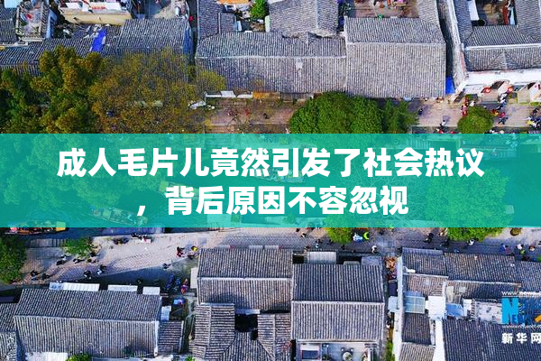 成人毛片儿竟然引发了社会热议，背后原因不容忽视