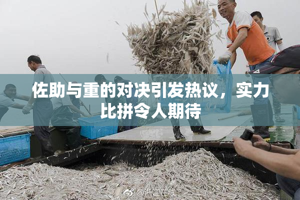 佐助与重的对决引发热议，实力比拼令人期待
