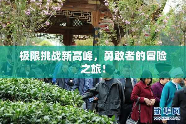 极限挑战新高峰，勇敢者的冒险之旅！