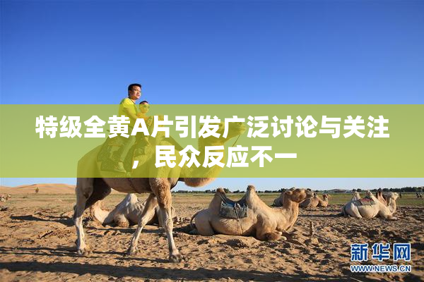 特级全黄A片引发广泛讨论与关注，民众反应不一