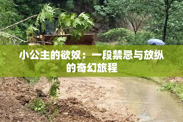 小公主的欲奴：一段禁忌与放纵的奇幻旅程
