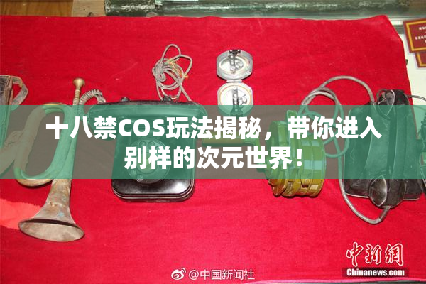 十八禁COS玩法揭秘，带你进入别样的次元世界！