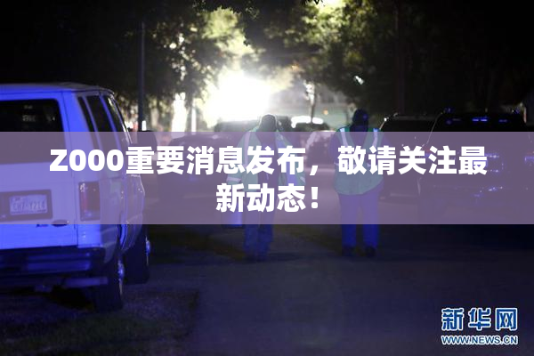 Z000重要消息发布，敬请关注最新动态！