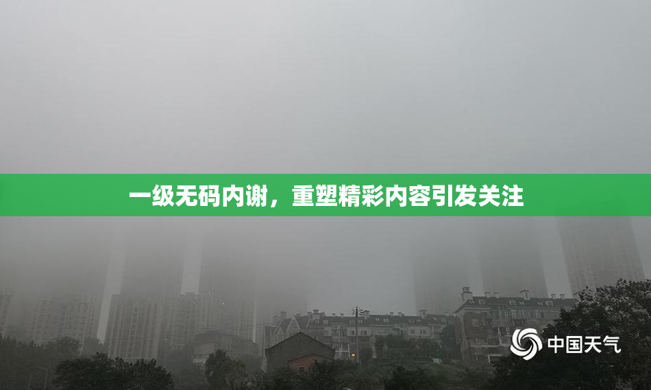 一级无码内谢，重塑精彩内容引发关注