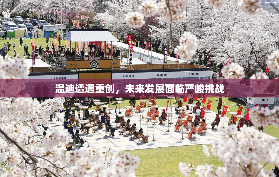 温迪遭遇重创，未来发展面临严峻挑战