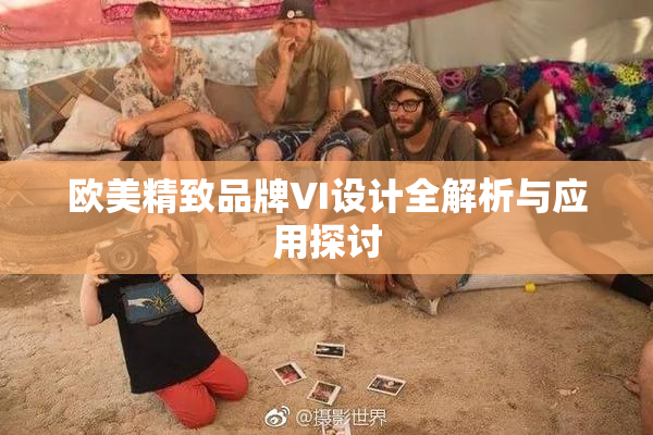 欧美精致品牌VI设计全解析与应用探讨