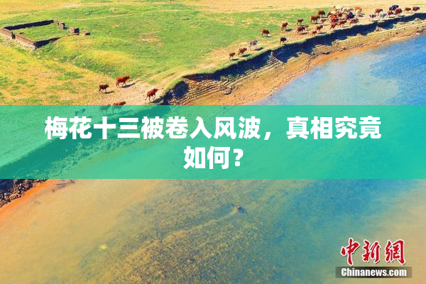 梅花十三被卷入风波，真相究竟如何？