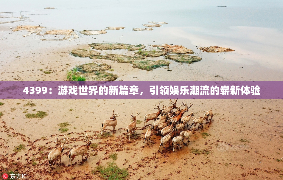 4399：游戏世界的新篇章，引领娱乐潮流的崭新体验