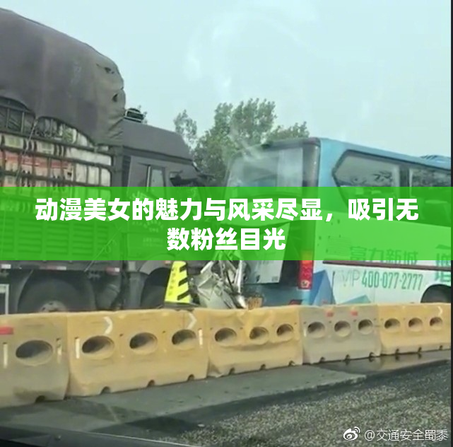 动漫美女的魅力与风采尽显，吸引无数粉丝目光