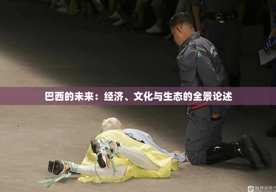 巴西的未来：经济、文化与生态的全景论述