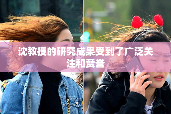 沈教授的研究成果受到了广泛关注和赞誉