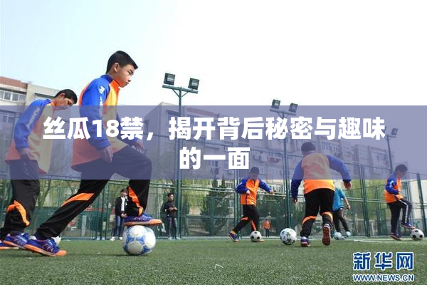 丝瓜18禁，揭开背后秘密与趣味的一面