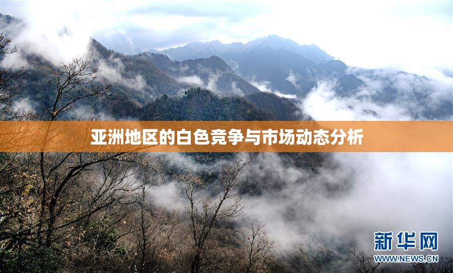 亚洲地区的白色竞争与市场动态分析