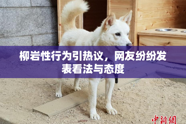 柳岩性行为引热议，网友纷纷发表看法与态度