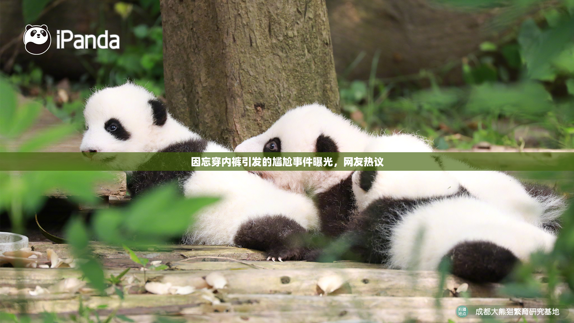 因忘穿内裤引发的尴尬事件曝光，网友热议