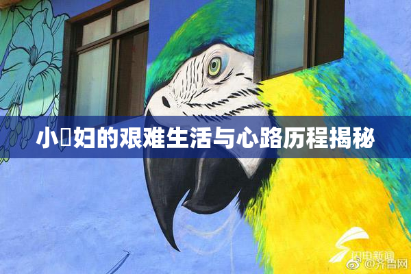 小婬妇的艰难生活与心路历程揭秘