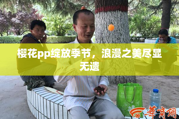 樱花pp绽放季节，浪漫之美尽显无遗