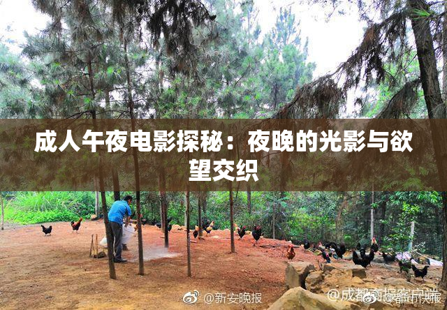成人午夜电影探秘：夜晚的光影与欲望交织