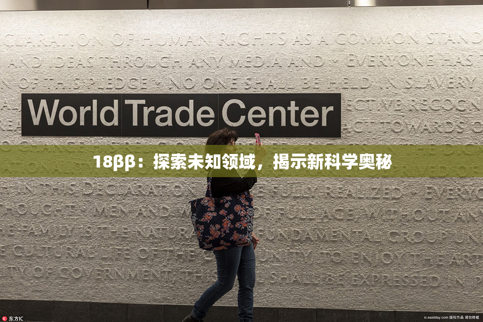 18ββ：探索未知领域，揭示新科学奥秘