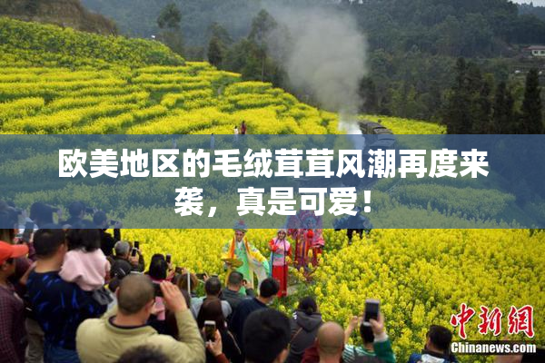 欧美地区的毛绒茸茸风潮再度来袭，真是可爱！